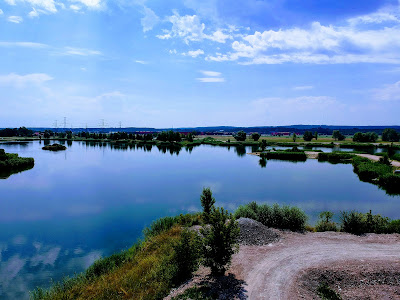 Fishery MSY Edges — fotografia 3
