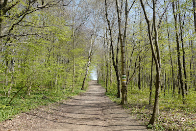 Kreuzeichenwiese — fotografia 5
