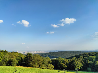 Panoramic View