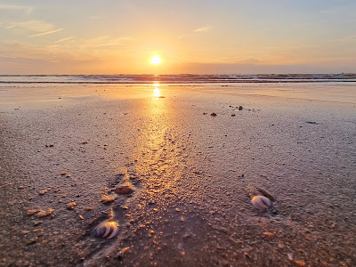 Strand Wassenaarseslag — fotografia 3