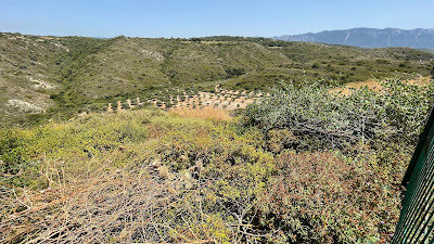 Archaeological Site of Kamiros — fotografia 4