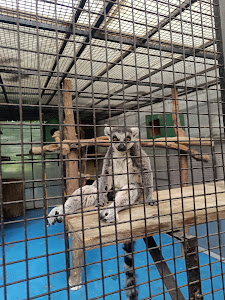 Private Zoo Sedlec — fotografia 3