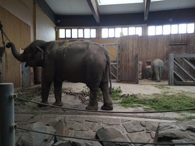 Ostrava Zoo — fotografia 5