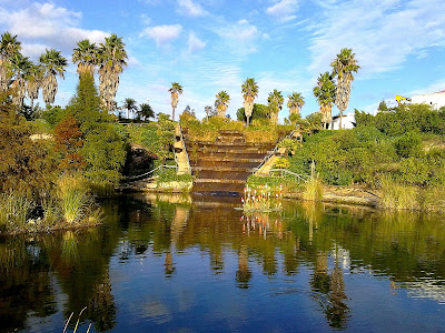 botánico José Celestino Mutis Park — fotografia 3