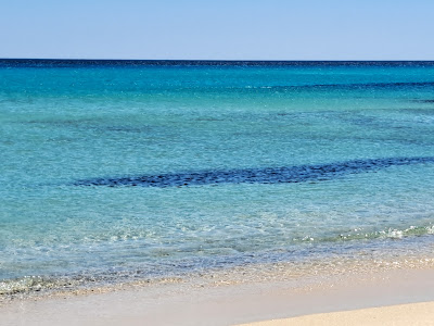 Spiaggia Sa Iba de Ziu Franciscu — fotografia 5