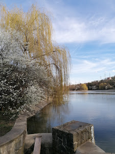 Hamerský rybník