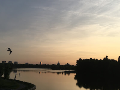 Lacul Tei — fotografia 4