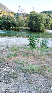 Αcheron Springs — fotografia 3