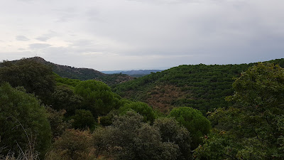 Área recreativa Los villares — fotografia 3