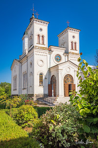 Mănăstirea Bistrița de Vâlcea