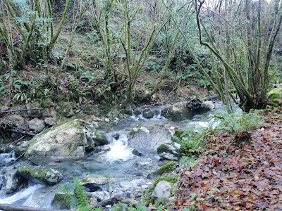 Churrón de Borleña — fotografia 4