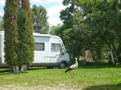 Camping Sălişteanca — fotografia 4