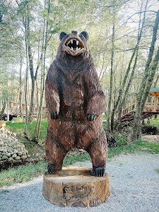 Dinosaur World Transylvania — fotografia 5