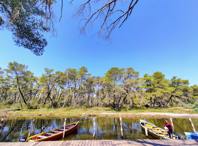 Divjaka-Karavasta National Park — fotografia 3