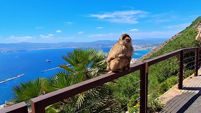 Gibraltar Rock — fotografia 5