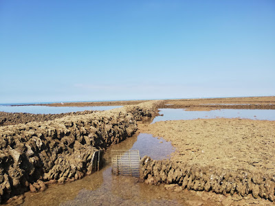 Los Corrales de Rota — fotografia 3