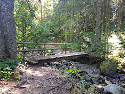 Geißenpfad Menzenschwand — fotografia 4