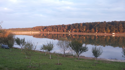 Lacul Vițeilor