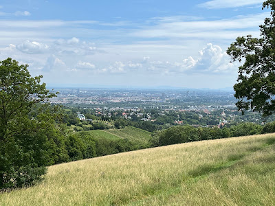 Bellevuewiese