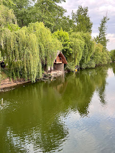 Parcul "Pădurea Vedea" — fotografia 5