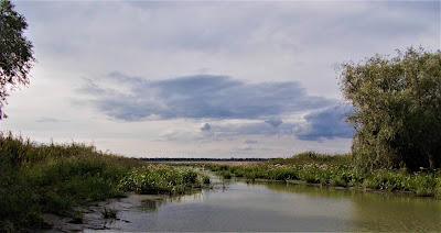 Lacul Nebunu