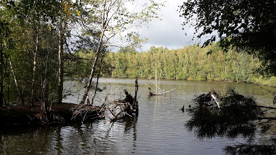 Altwarmbüchener See — fotografia 5