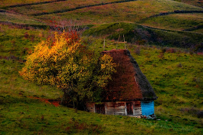 Panorama Sălciua - Dumești - Valea Poienii — fotografia 3