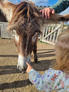 Donkey trail — fotografia 5