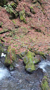 Szepit waterfall on a creek Hylaty — fotografia 2