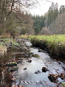 Sindersbachsee — fotografia 4