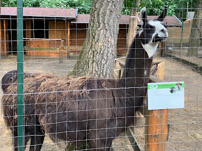 Törökmező Animal Park — fotografia 5