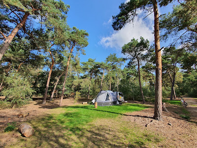 Nature camping site De Vlagberg — fotografia 3