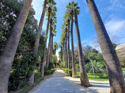 Athens National Garden — fotografia 4