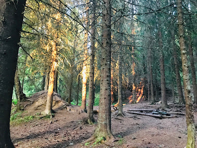 Estenstadmarka — fotografia 5