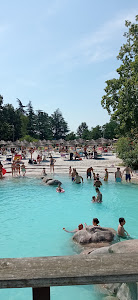 Lake Eyasi Resort | Zoom Torino — fotografia 4