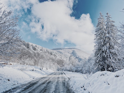 Zona turistică Valea Avrigului — fotografia 5