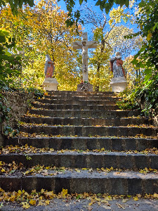 Kiscelli Parkerdő — fotografia 5