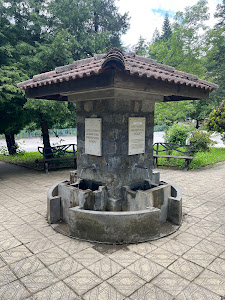 Чешма с минерална вода с.Шипково