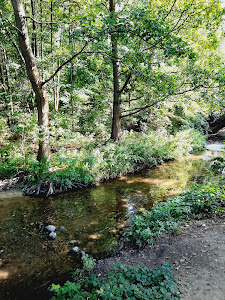 Wirenka River Waterfall — fotografia 5