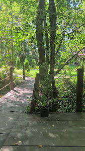 Între Râuri — fotografia 2