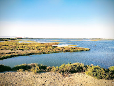 Ebro Delta Natural Park — fotografia 4