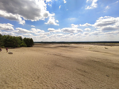 Desert viewing platform | Dąbrówka — fotografia 3