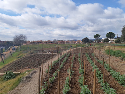 Asomadilla Park — fotografia 5