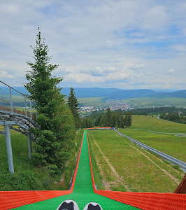 Bob - Alpine Coaster Toplita — fotografia 4