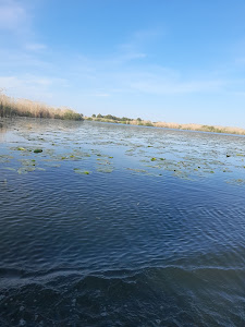 Lacul Uzlina