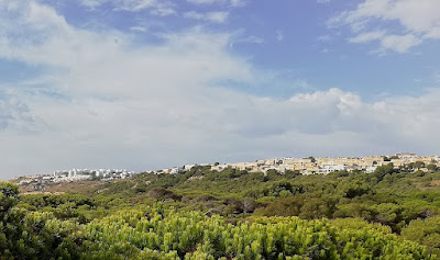 Playa Elche — fotografia 5