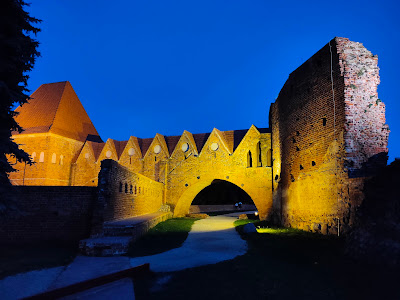 Teutonic Castle ruins — fotografia 5