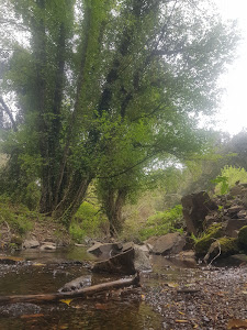 Sendero Galaroza - Castaño del Robledo (Ribera de Jabugo) — fotografia 4
