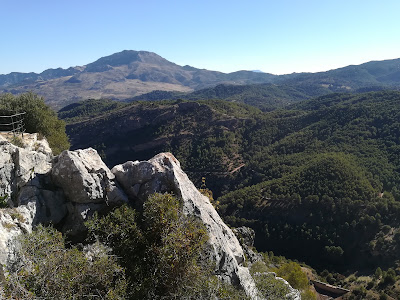 Mirador del Guarda Forestal — fotografia 3