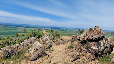 Culmea Pricopanului — fotografia 3